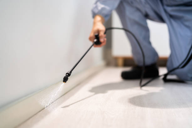 Licensed Exterminator service in Spearfish, SD - Show Me Pest Control