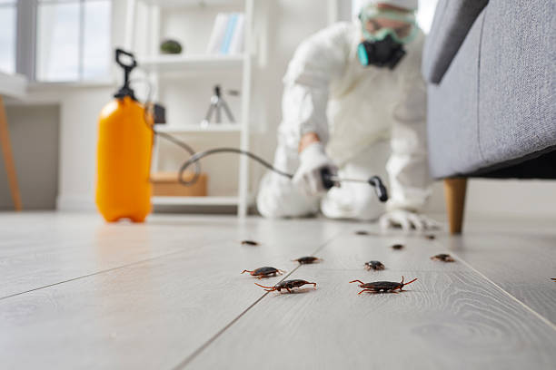 Post-Treatment Bed Bug Interceptor Monitoring in Spearfish