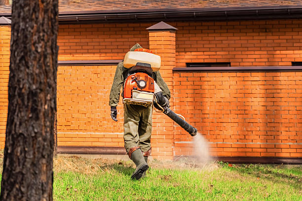 Bed Bug Clearance Verification and Documentation in Spearfish